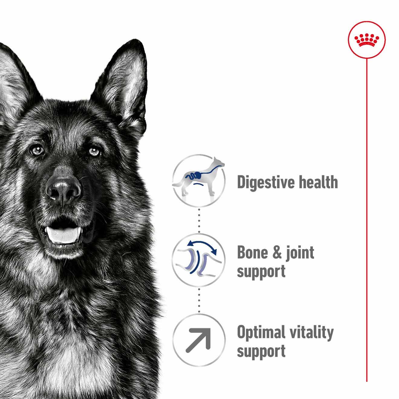 Royal Canin Size Health Nutrition Maxi Adult 5+ Dry Dog Food - Image 3