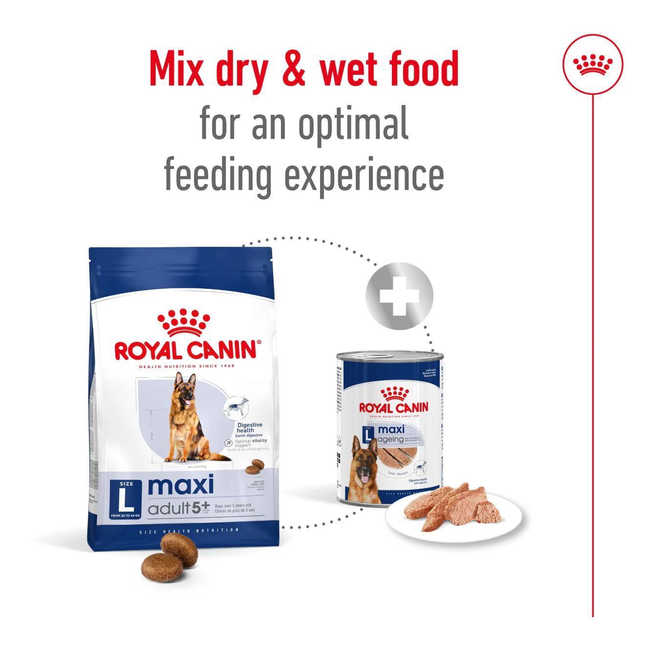 Royal Canin Size Health Nutrition Maxi Adult 5+ Dry Dog Food - Image 5