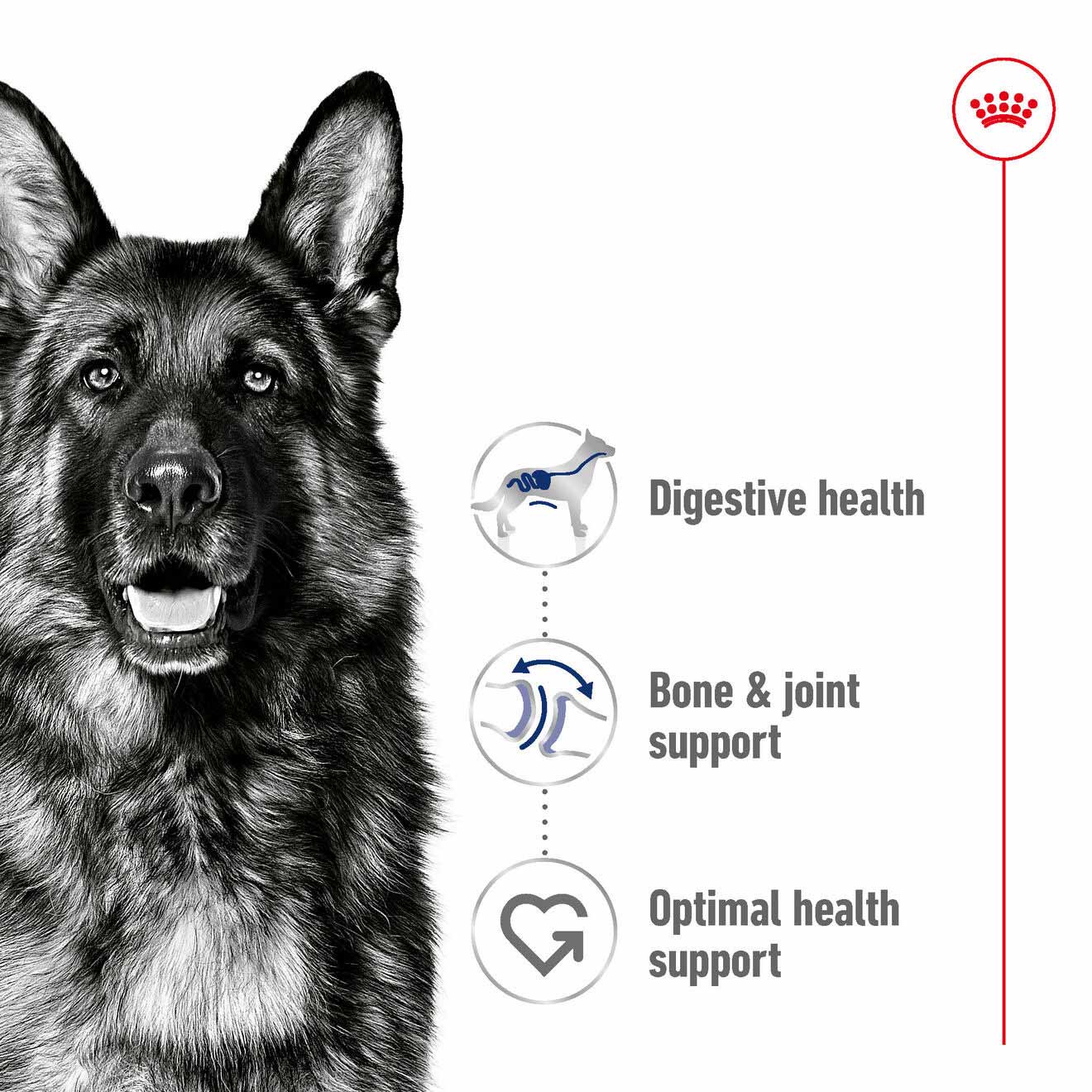 Royal Canin Size Health Nutrition Maxi Adult Dry Dog Food - Image 3