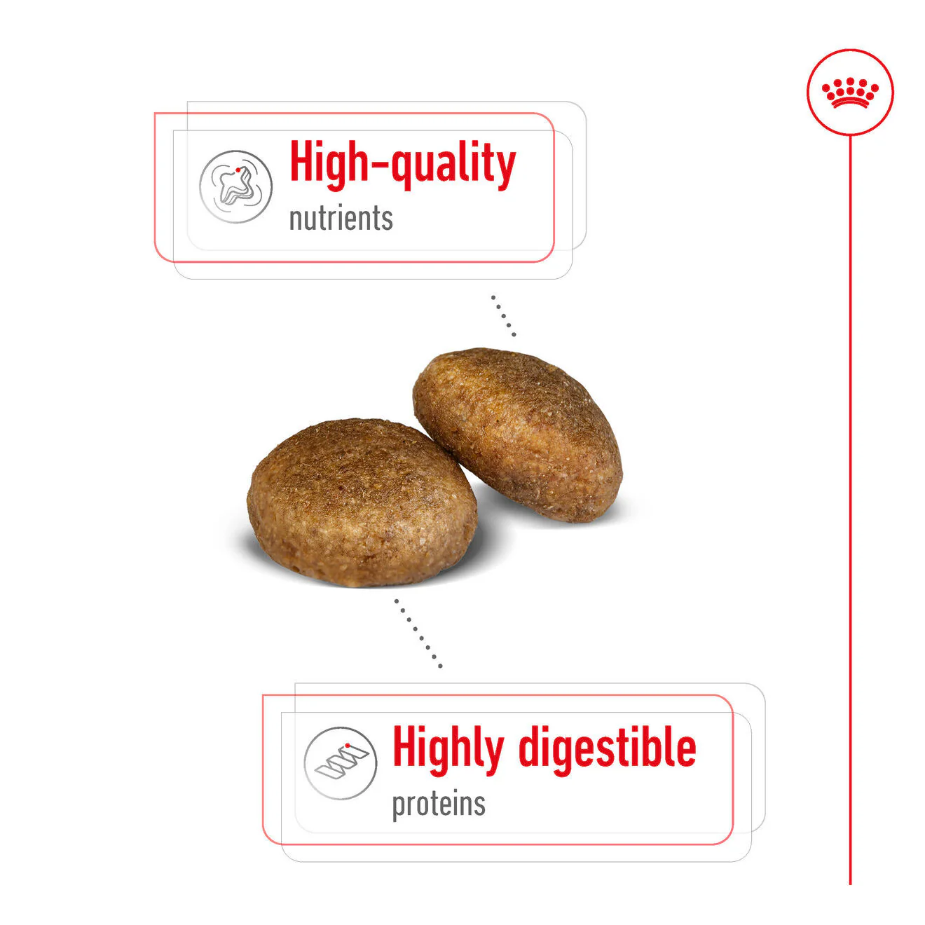 Royal Canin Size Health Nutrition Maxi Adult Dry Dog Food - Image 5