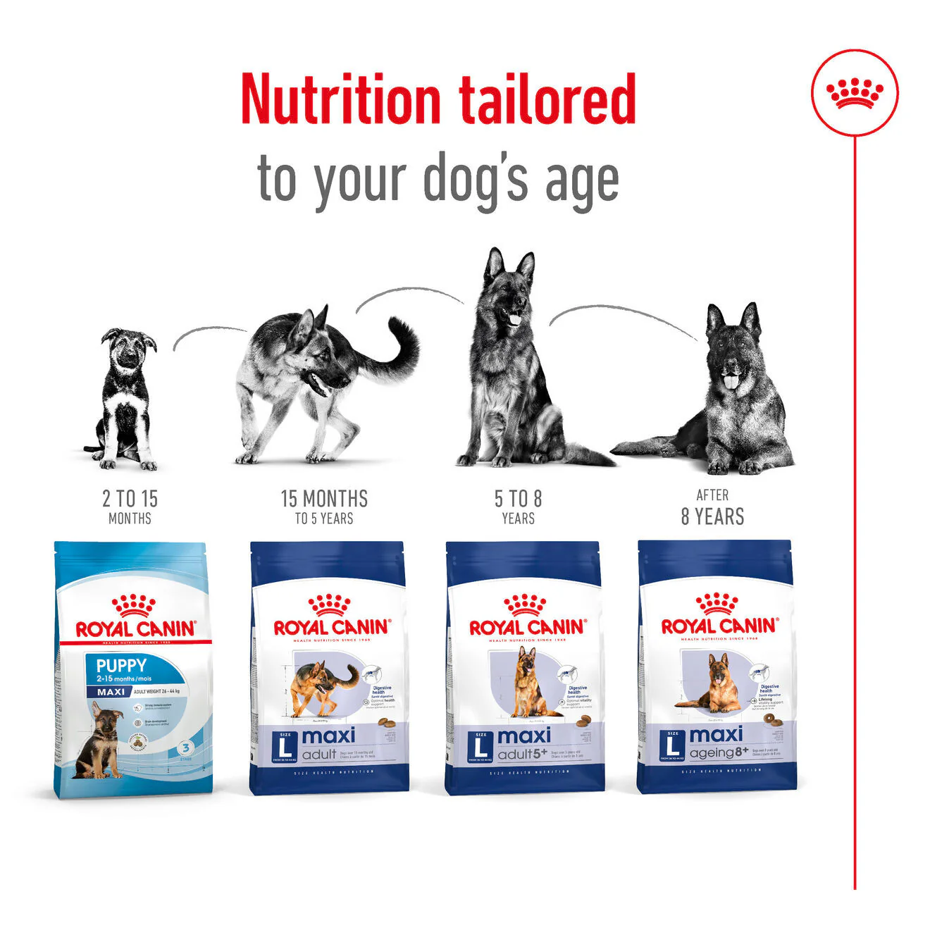 Royal Canin Size Health Nutrition Maxi Adult Dry Dog Food - Image 9