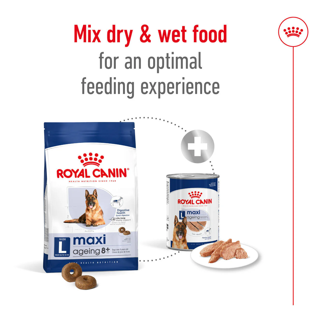 Royal Canin Size Health Nutrition Maxi Ageing 8+ Mature Dry Dog Food - Image 7