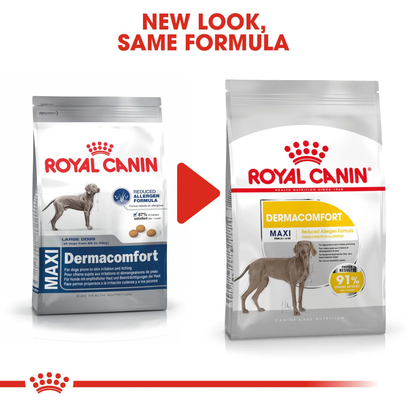 Royal Canin Size Health Nutrition Maxi Dermacomfort Care Adult Dry Dog Food - Image 3