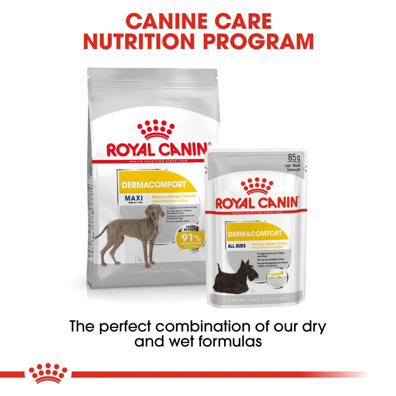Royal Canin Size Health Nutrition Maxi Dermacomfort Care Adult Dry Dog Food - Image 8