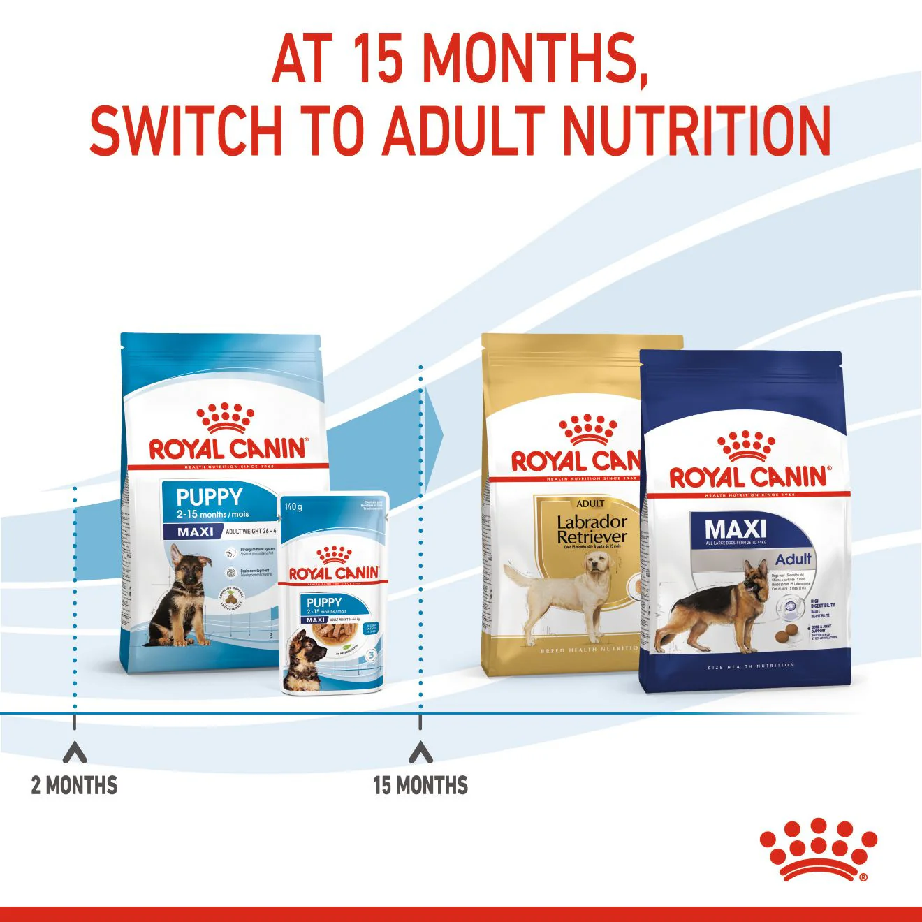 Royal Canin Size Health Nutrition Maxi Puppy Dry Dog Food - Image 6
