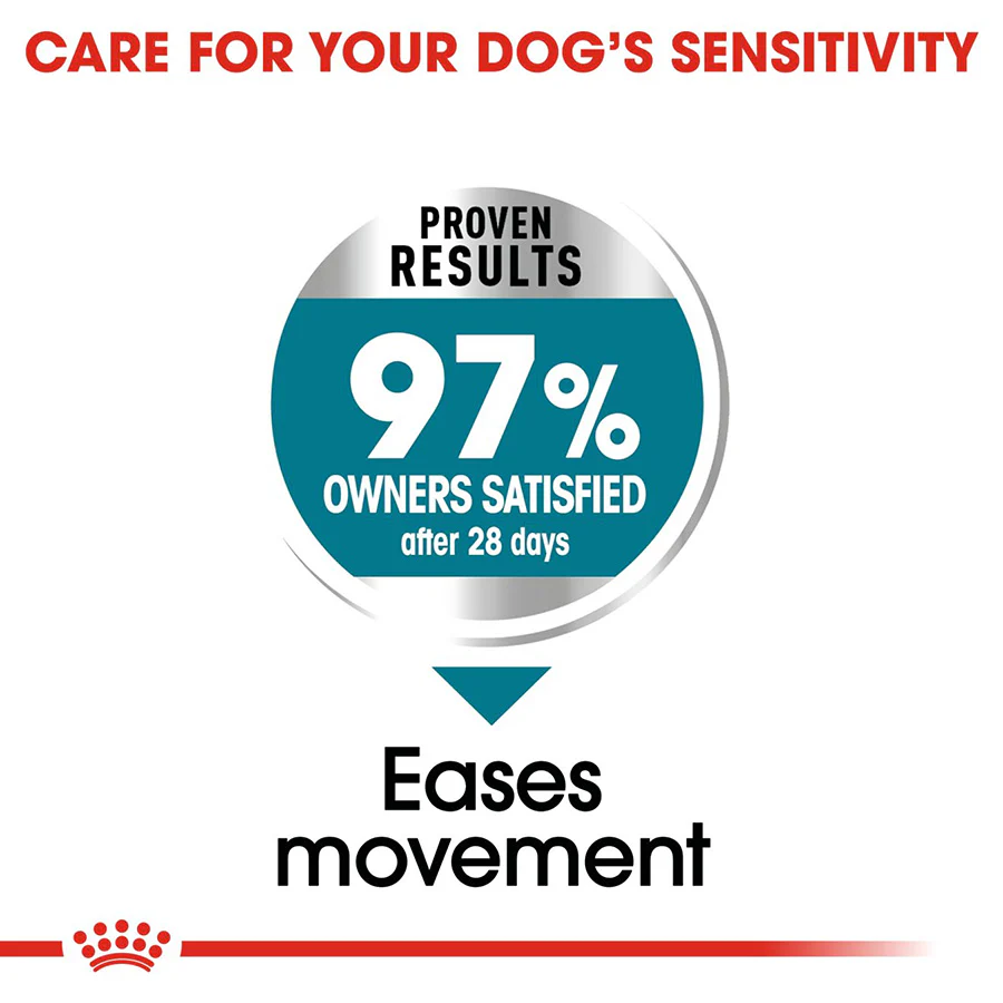Royal Canin Size Health Nutrition Maxi Joint Care Adult Dry Dog Food - Image 4