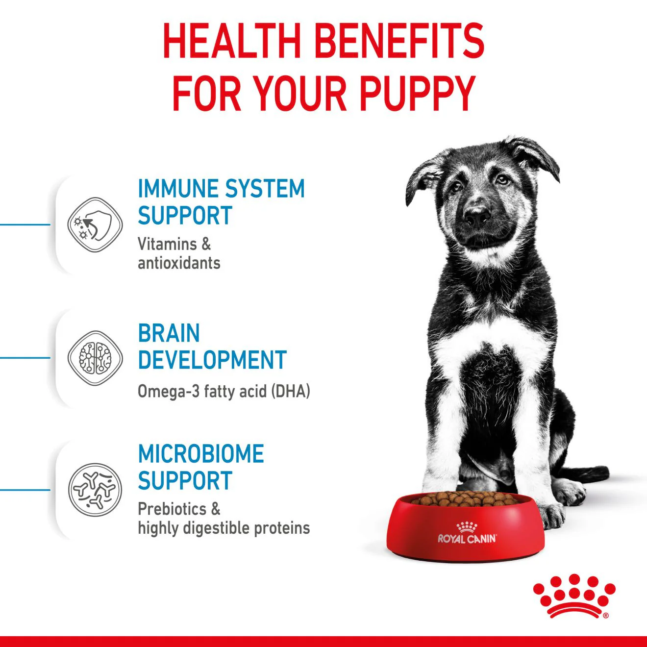 Royal Canin Size Health Nutrition Maxi Puppy Dry Dog Food - Image 4