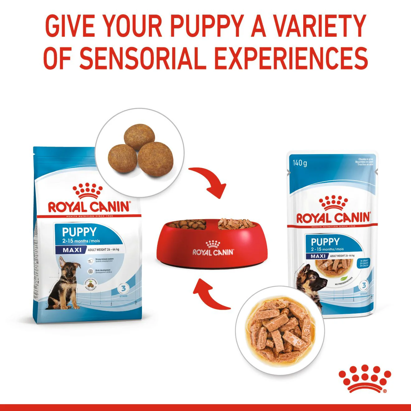 Royal Canin Size Health Nutrition Maxi Puppy Dry Dog Food - Image 5