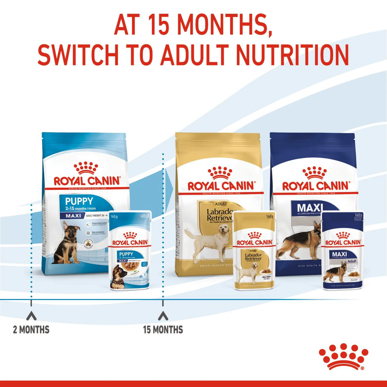 Royal Canin Size Health Nutrition Maxi Wet Puppy Food in Gravy - 10x140g Pouches - Image 5