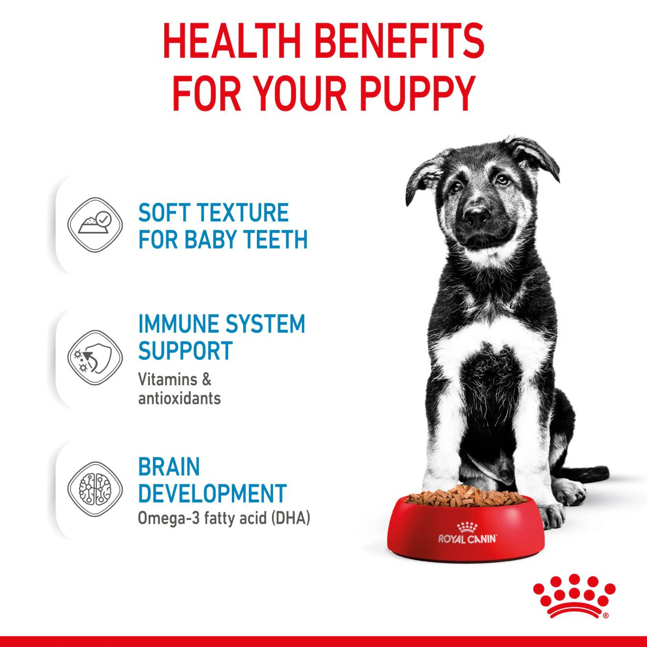 Royal Canin Size Health Nutrition Maxi Wet Puppy Food in Gravy - 10x140g Pouches - Image 6