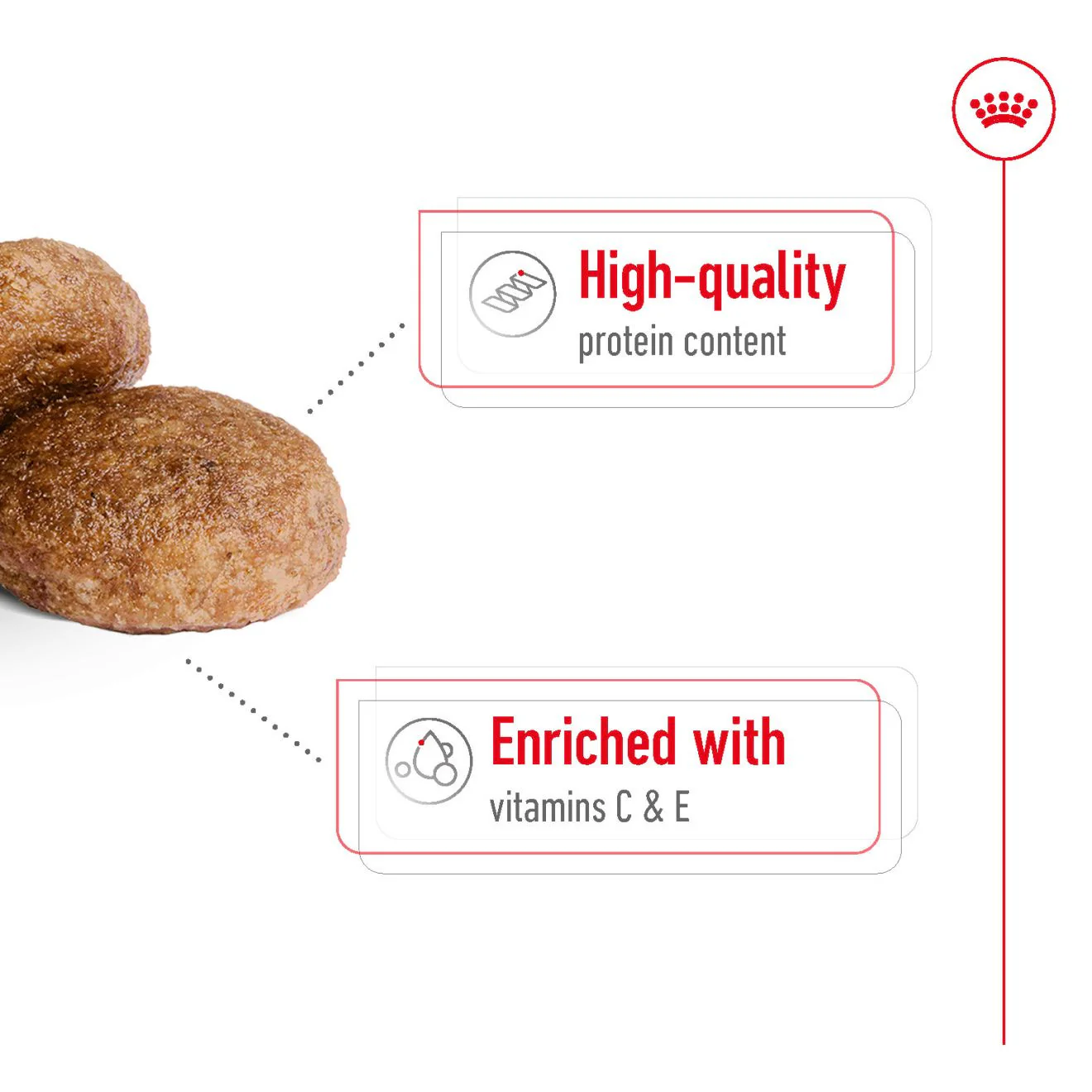 Royal Canin Size Health Nutrition Medium 7+ Mature Dry Dog Food - Image 4