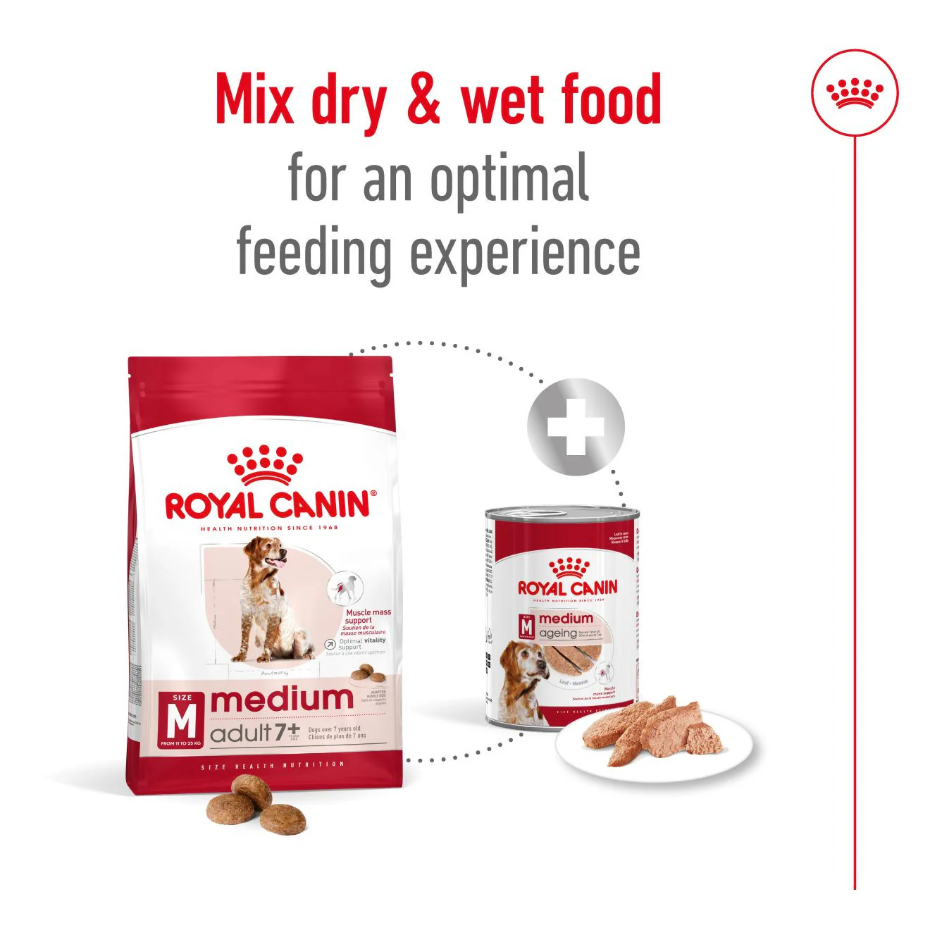Royal Canin Size Health Nutrition Medium 7+ Mature Dry Dog Food - Image 7