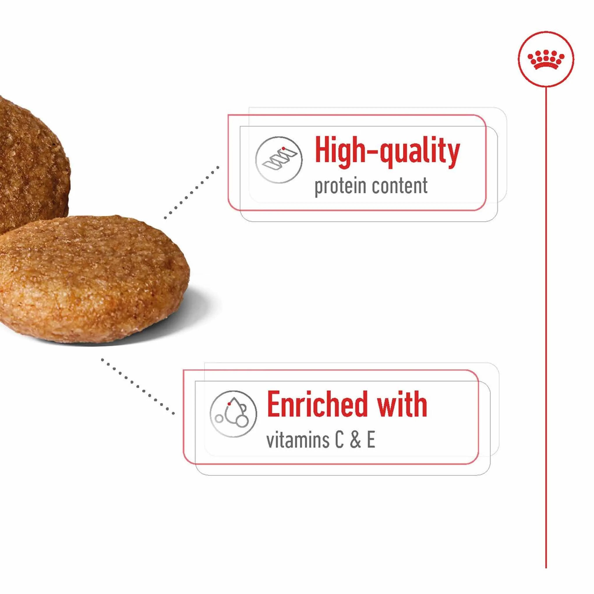 Royal Canin Size Health Nutrition Medium Adult Dry Dog Food - Image 5