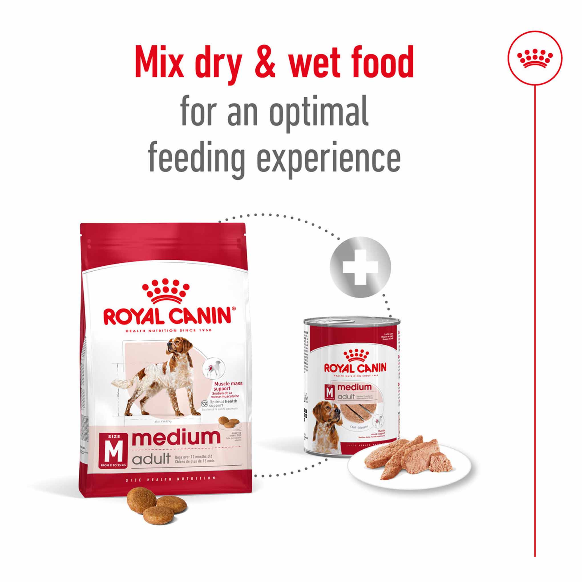 Royal Canin Size Health Nutrition Medium Adult Dry Dog Food - Image 8