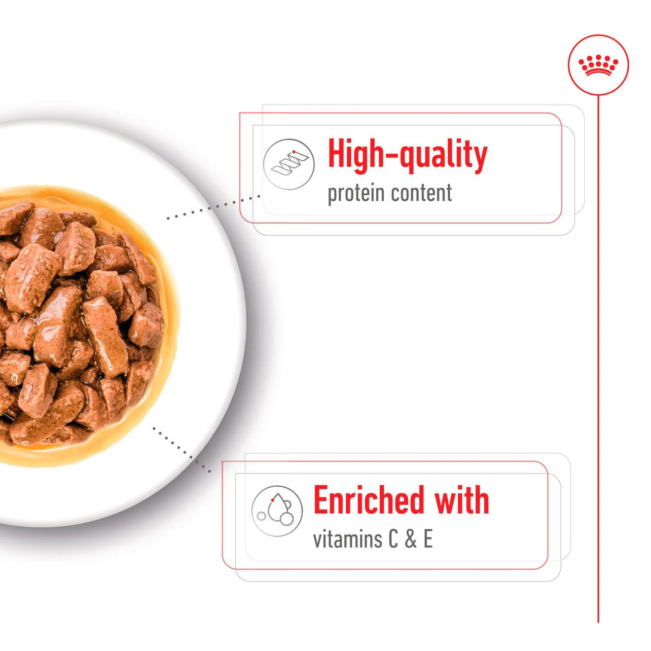 Royal Canin Size Health Nutrition Medium Adult Wet Dog Food in Gravy - 10x140g Pouches - Image 4