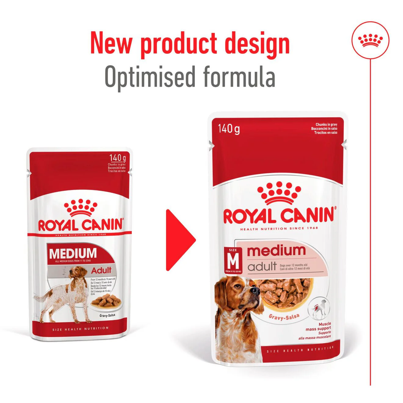 Royal Canin Size Health Nutrition Medium Adult Wet Dog Food in Gravy - 10x140g Pouches - Image 5