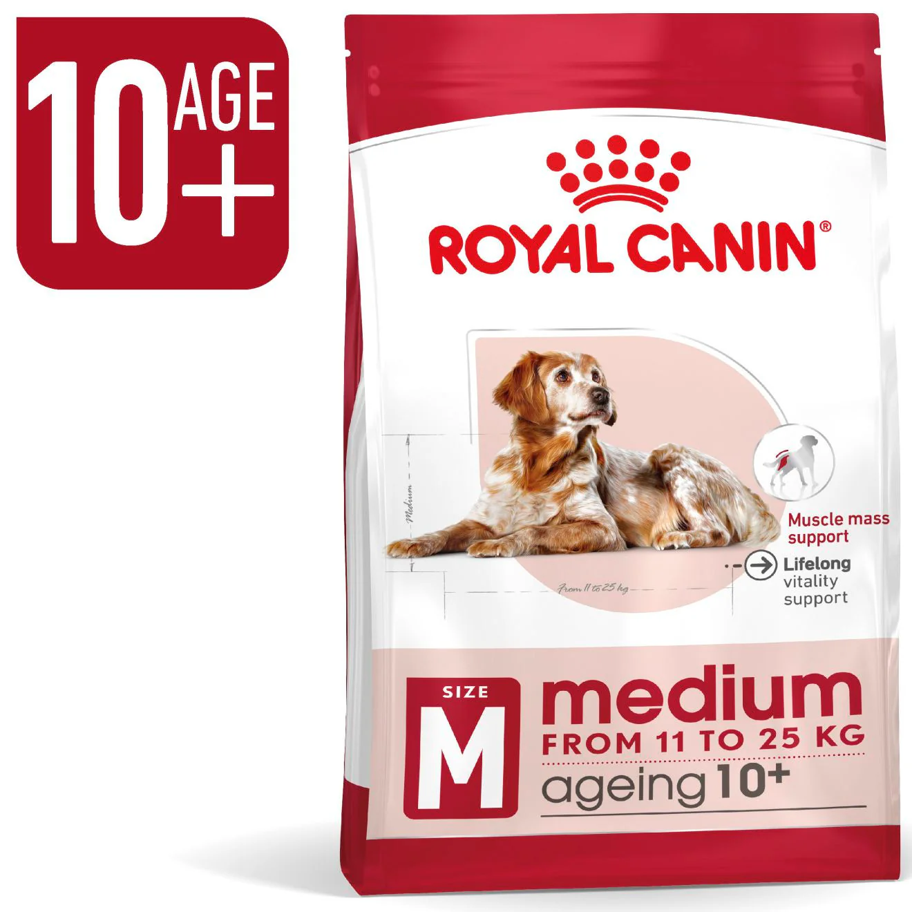 Royal Canin Size Health Nutrition Medium Ageing 10+ Mature Dry Dog Food - Image 2