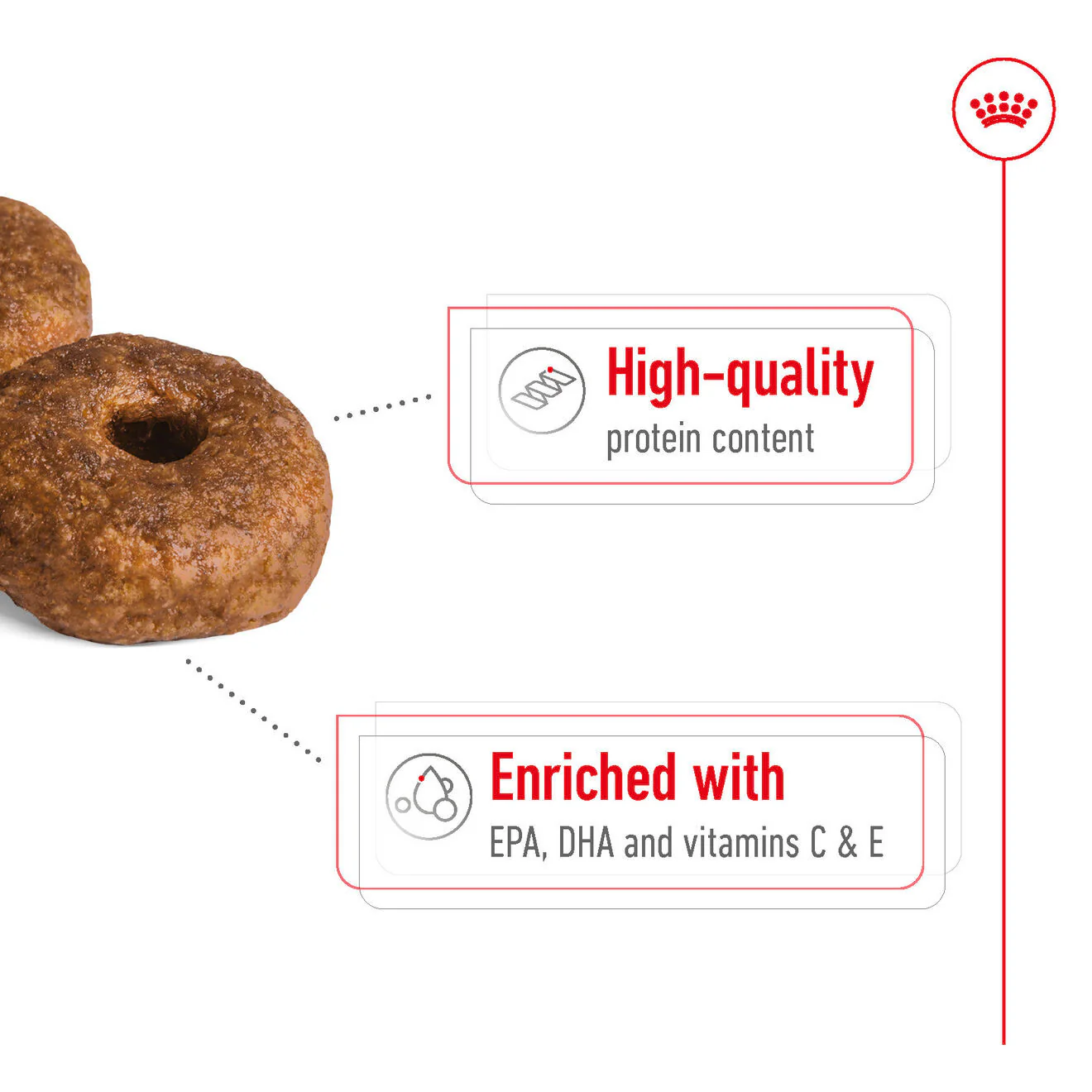 Royal Canin Size Health Nutrition Medium Ageing 10+ Mature Dry Dog Food - Image 5