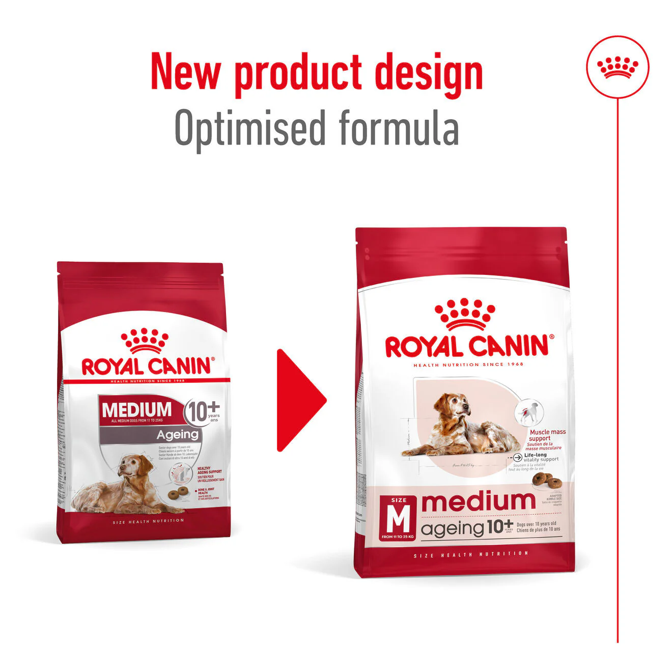 Royal Canin Size Health Nutrition Medium Ageing 10+ Mature Dry Dog Food - Image 6