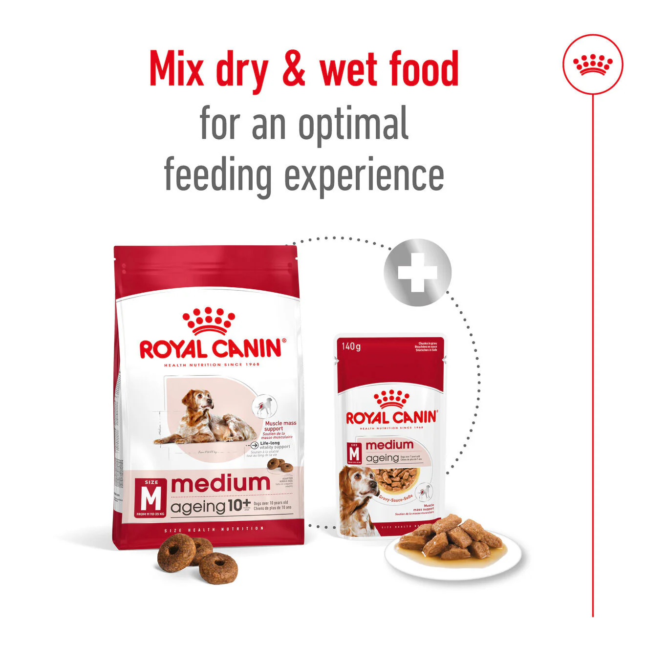 Royal Canin Size Health Nutrition Medium Ageing 10+ Mature Dry Dog Food - Image 7