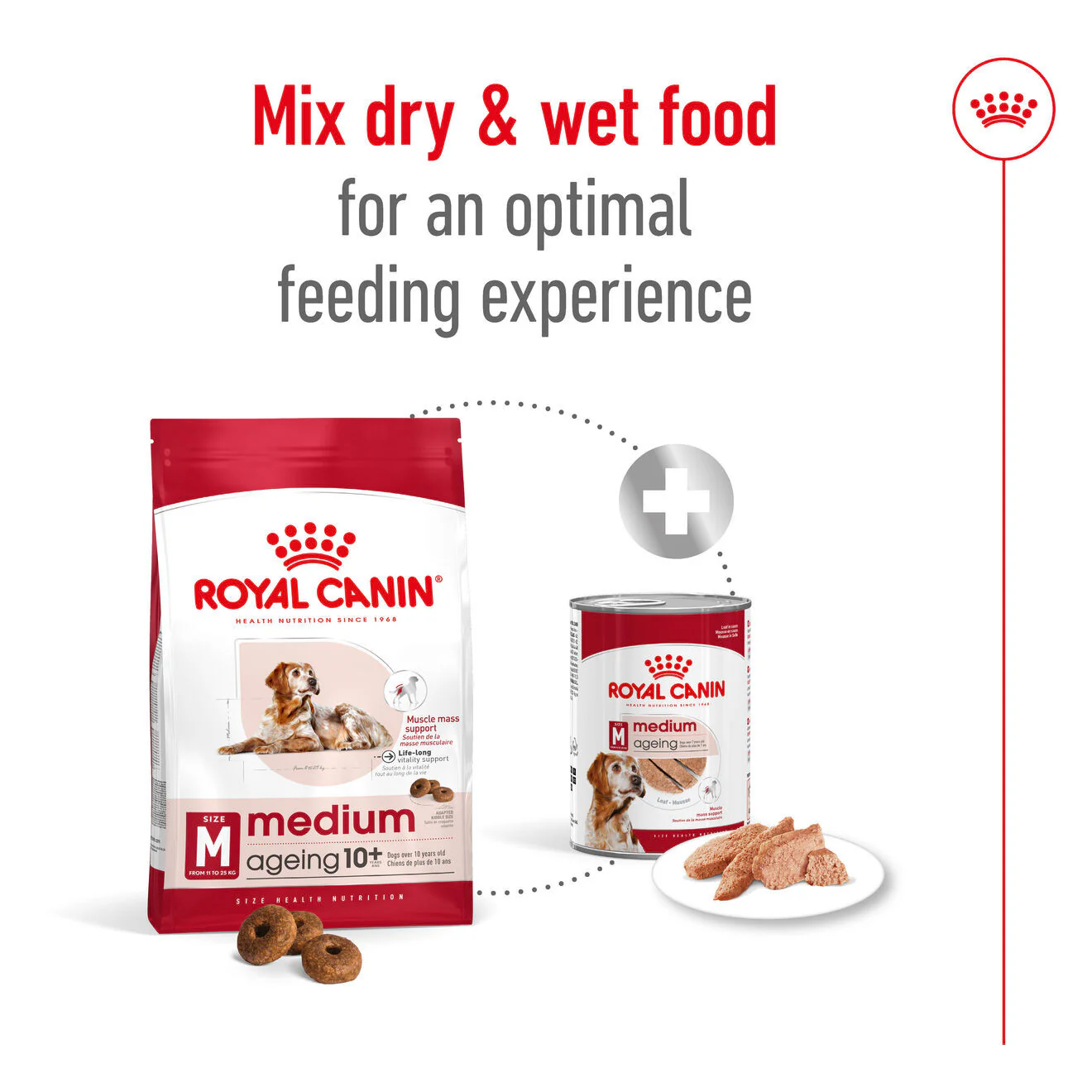 Royal Canin Size Health Nutrition Medium Ageing 10+ Mature Dry Dog Food - Image 8
