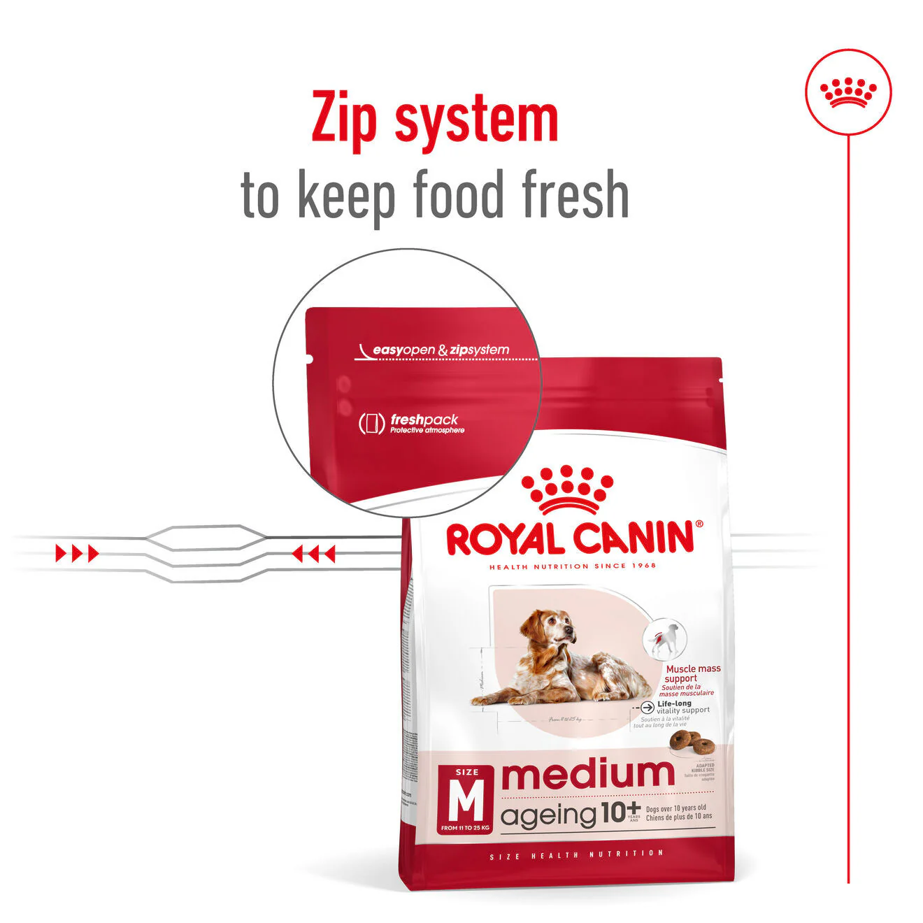 Royal Canin Size Health Nutrition Medium Ageing 10+ Mature Dry Dog Food - Image 9