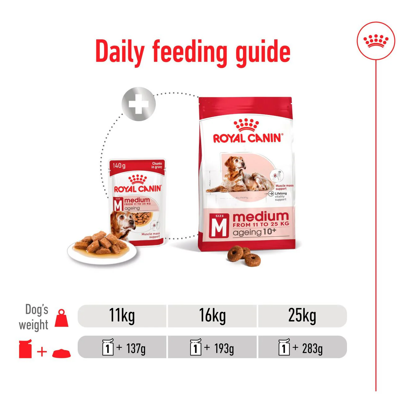 Royal Canin Size Health Nutrition Medium Ageing 7+ Wet Dog Food in Gravy - 10x140g Pouches - Image 3