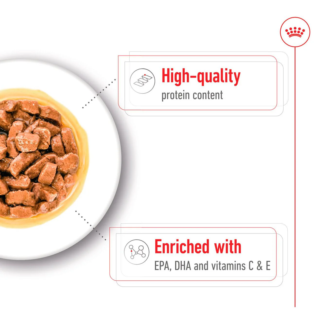 Royal Canin Size Health Nutrition Medium Ageing 7+ Wet Dog Food in Gravy - 10x140g Pouches - Image 7