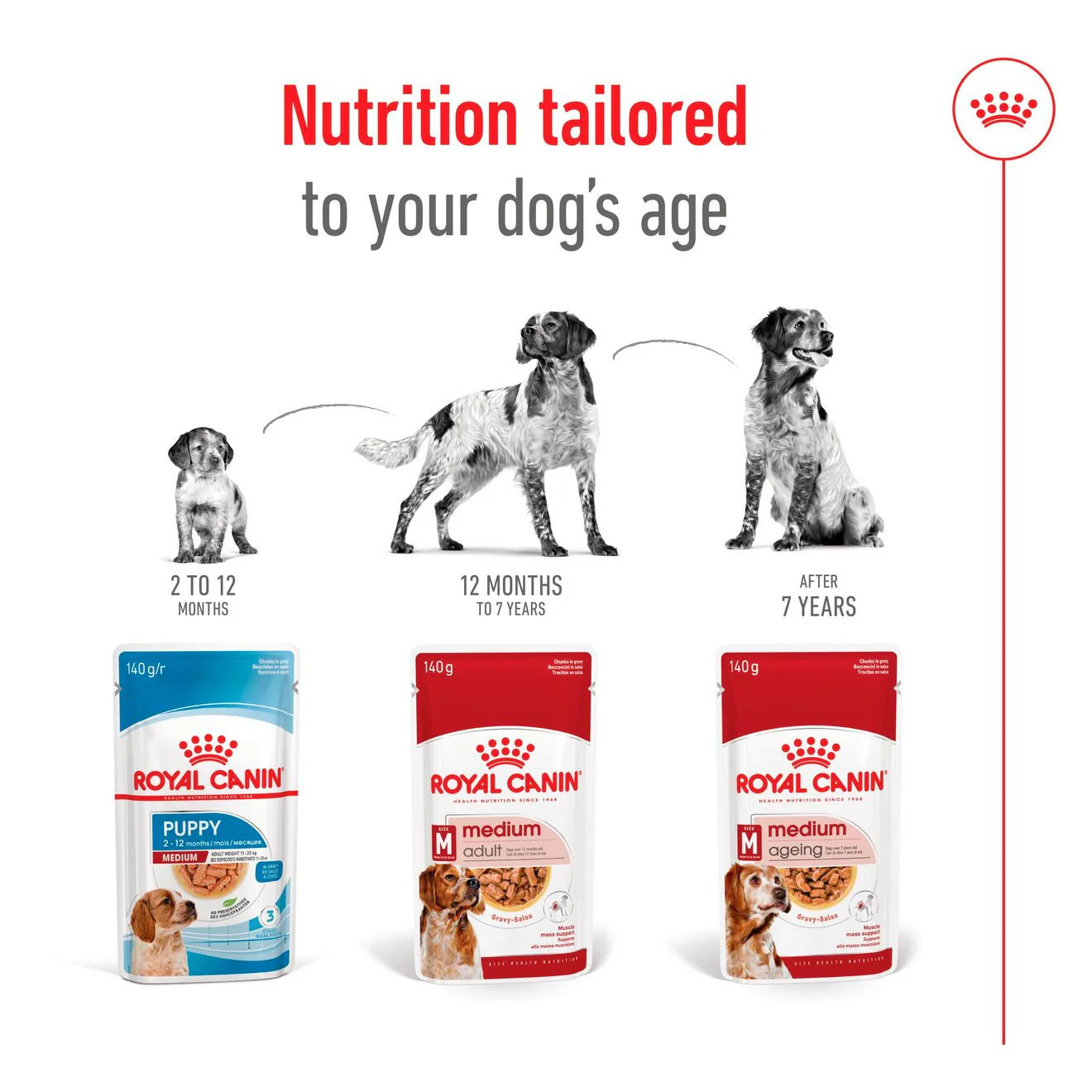 Royal Canin Size Health Nutrition Medium Ageing 7+ Wet Dog Food in Gravy - 10x140g Pouches - Image 8