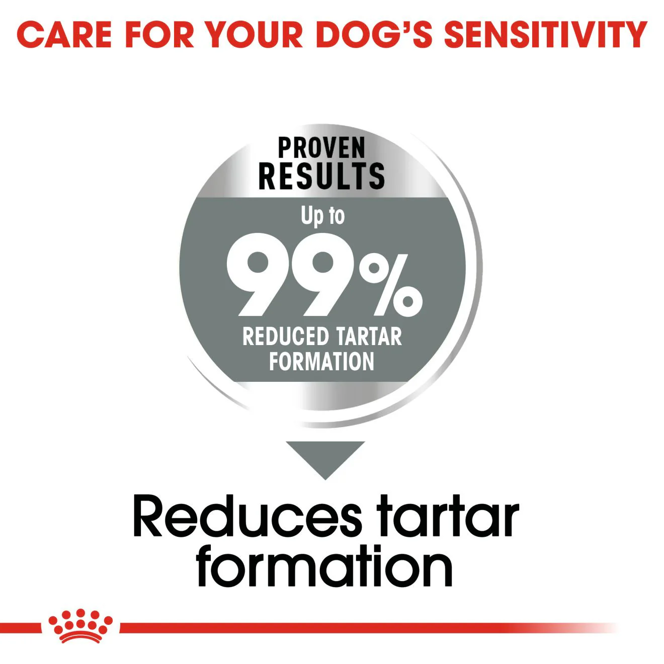 Royal Canin Size Health Nutrition Medium Dental Care Adult Dry Dog Food - Image 3