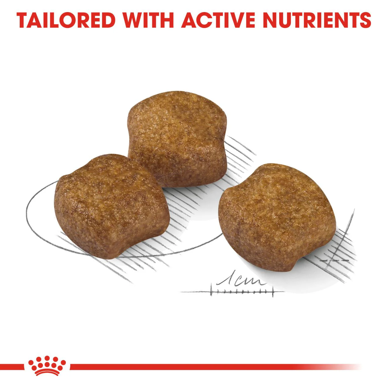 Royal Canin Size Health Nutrition Medium Dental Care Adult Dry Dog Food - Image 4
