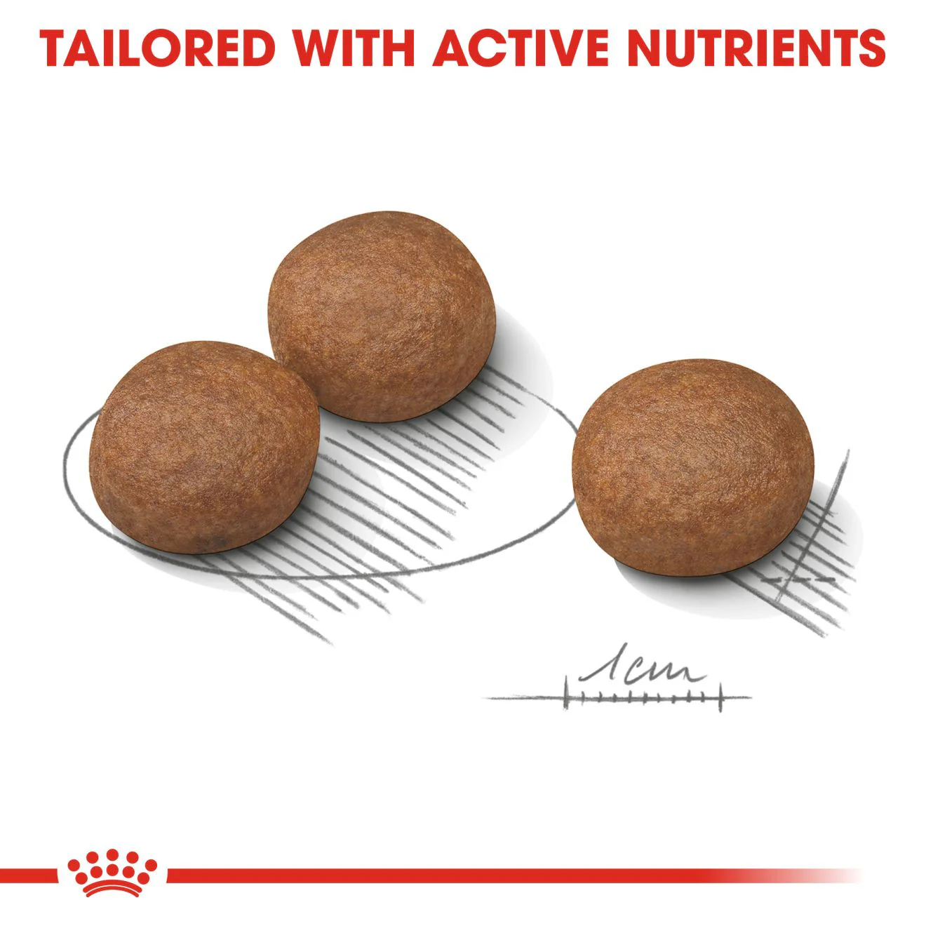 Royal Canin Size Health Nutrition Medium Digestive Care Adult Dry Dog Food - Image 5