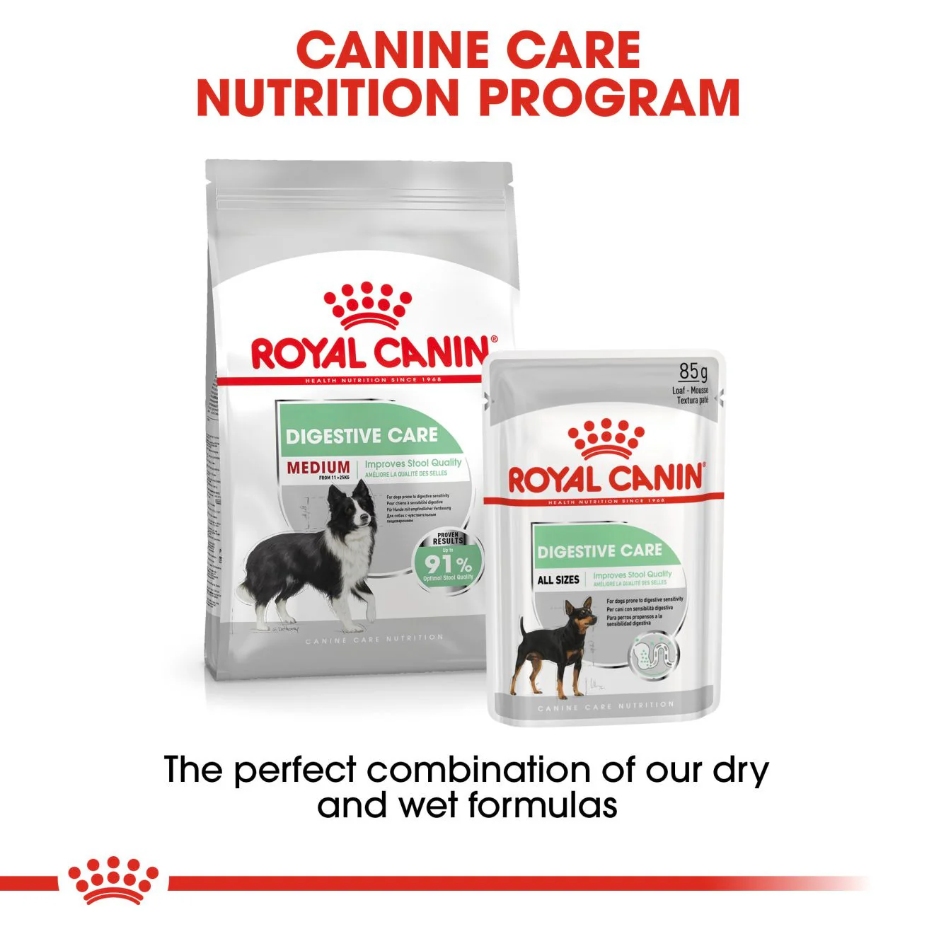 Royal Canin Size Health Nutrition Medium Digestive Care Adult Dry Dog Food - Image 8