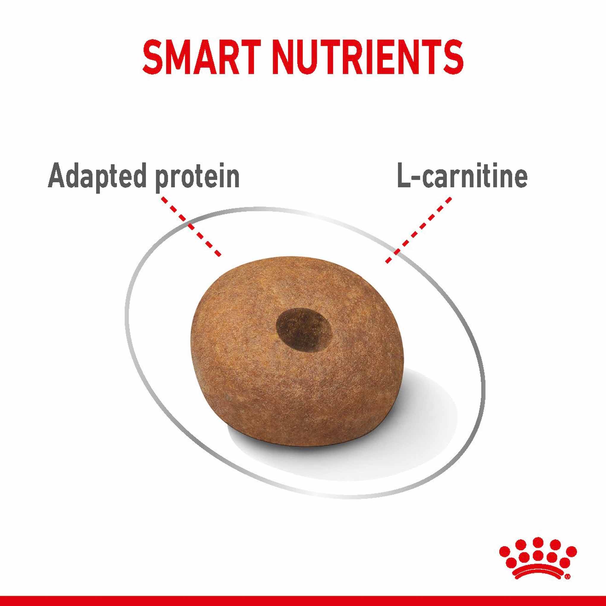 Royal Canin Size Health Nutrition Medium Light Weight Care Adult Dry Dog Food - Image 5