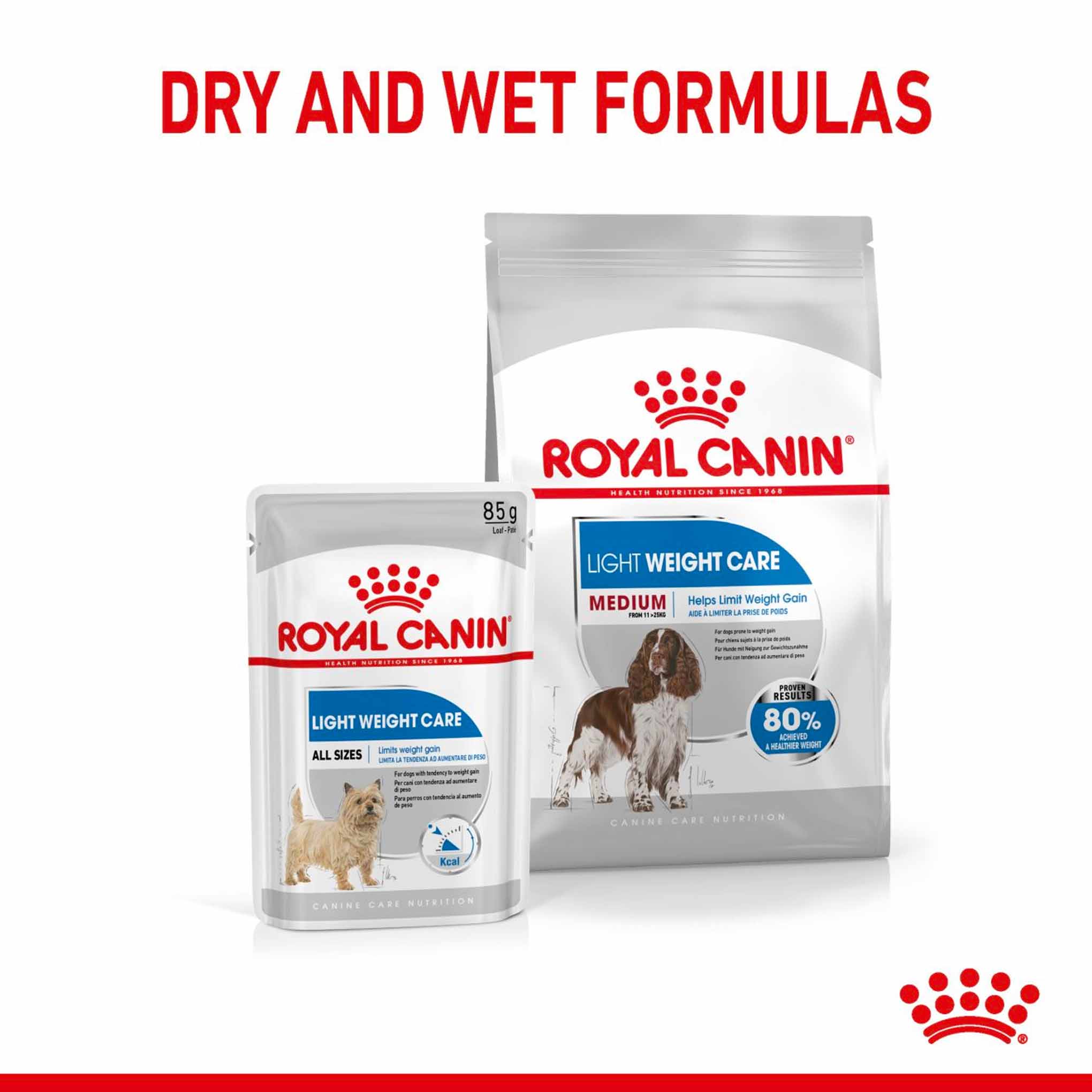 Royal Canin Size Health Nutrition Medium Light Weight Care Adult Dry Dog Food - Image 6