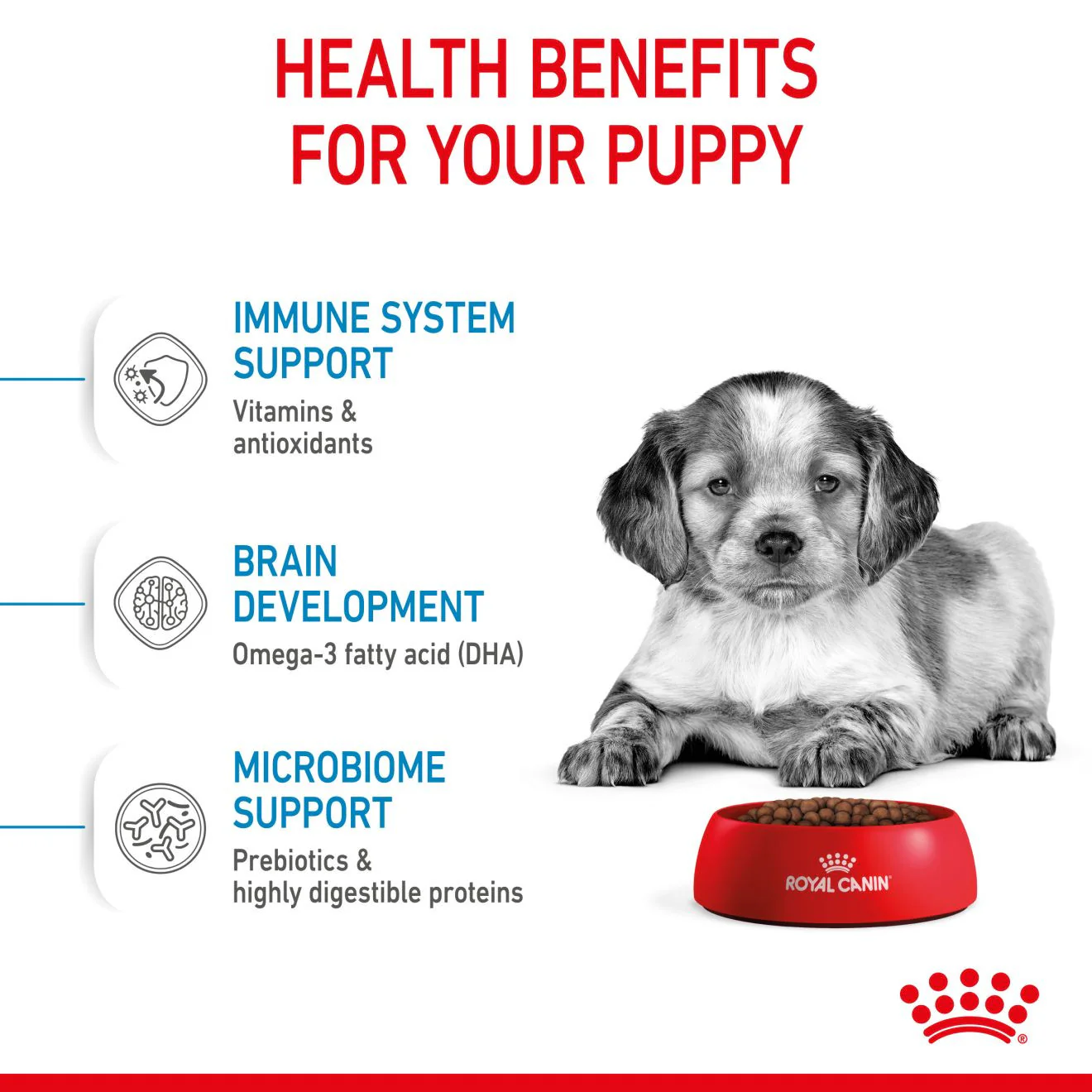 Royal Canin Size Health Nutrition Medium Puppy Dry Dog Food - Image 11