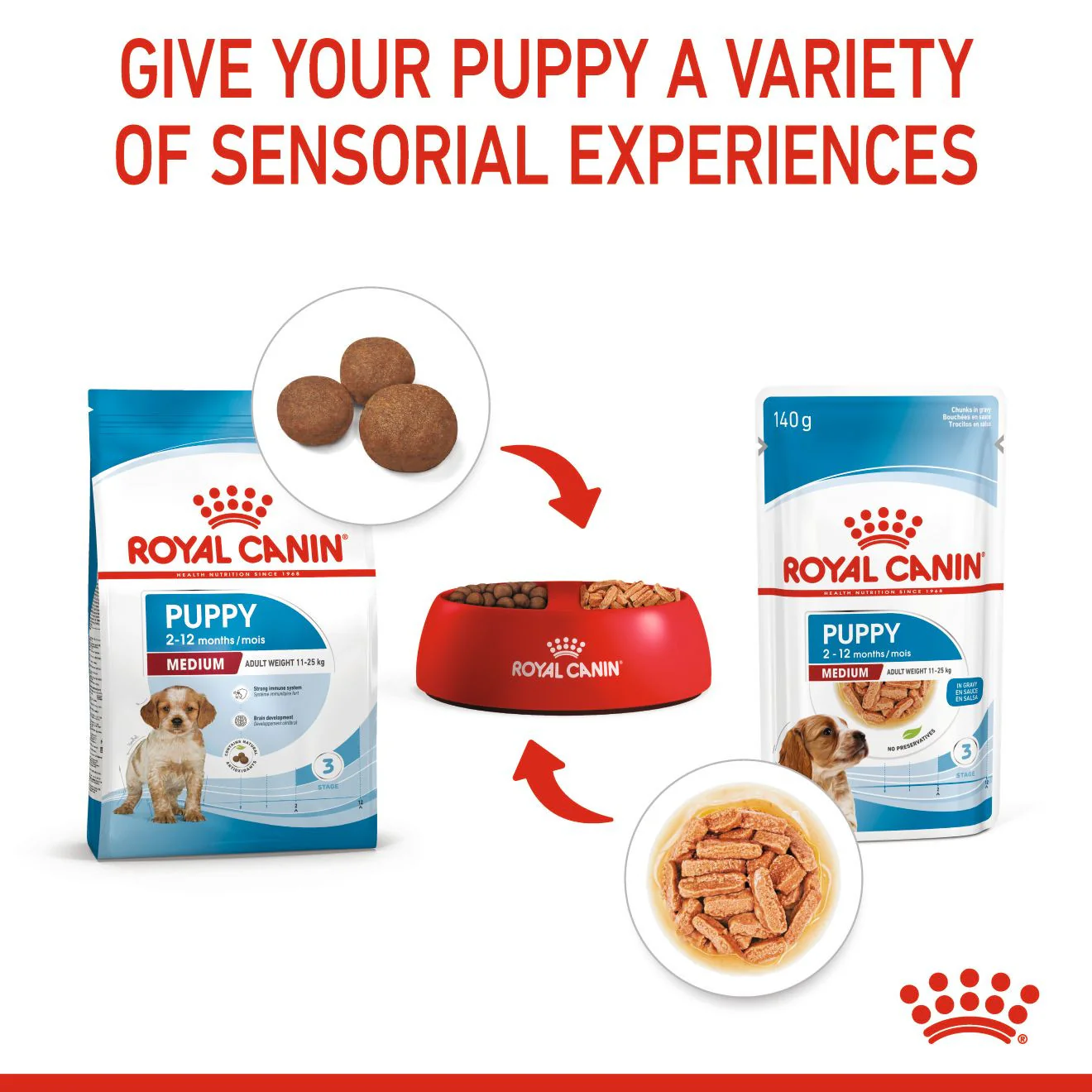 Royal Canin Size Health Nutrition Medium Puppy Dry Dog Food - Image 12