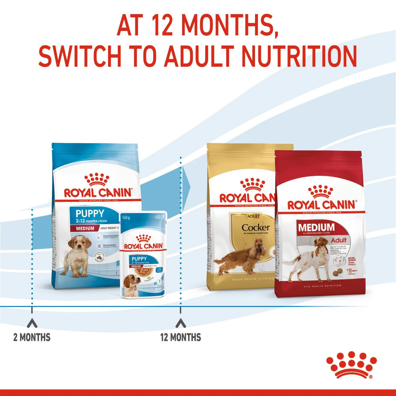 Royal Canin Size Health Nutrition Medium Puppy Dry Dog Food - Image 7