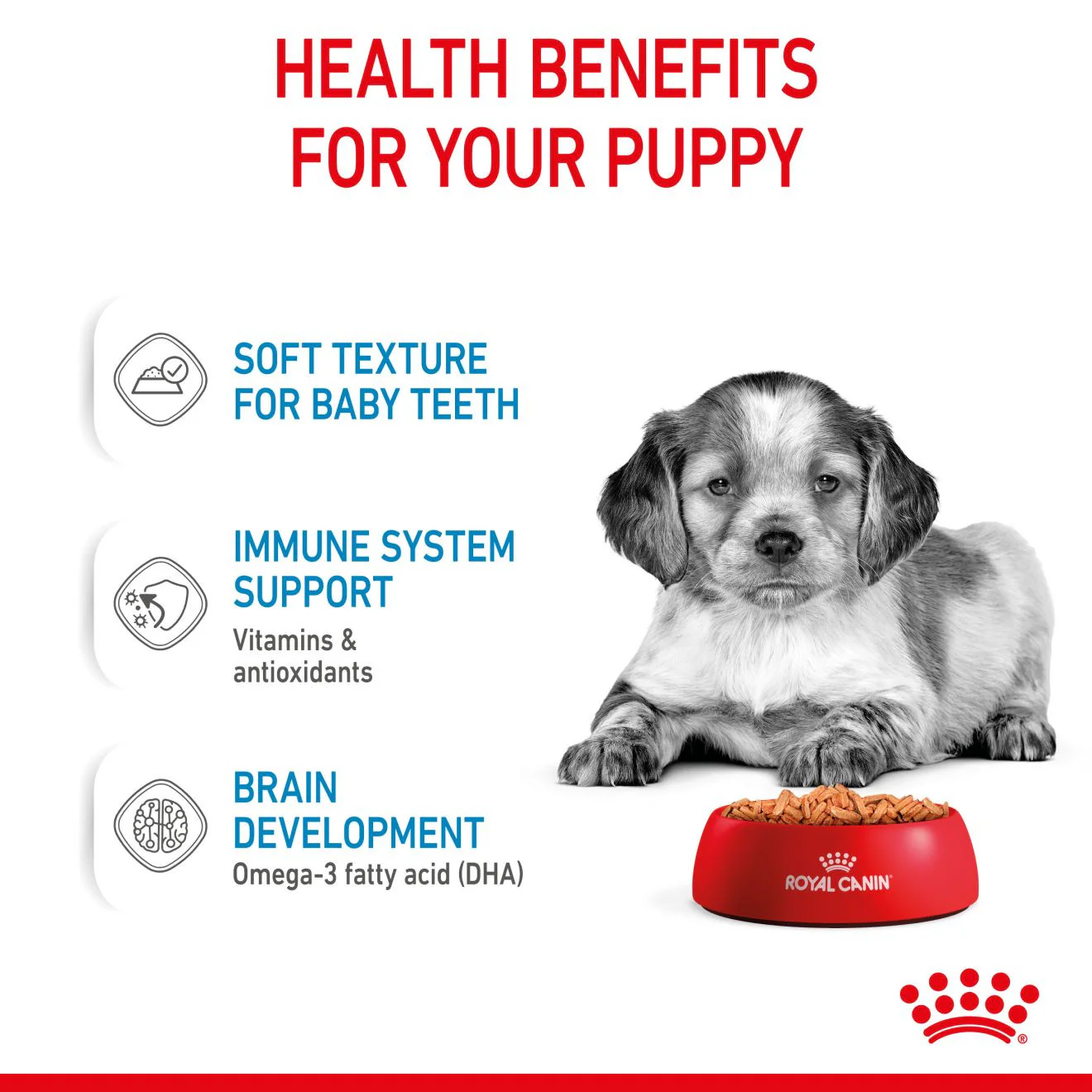 Royal Canin Size Health Nutrition Medium Puppy Wet Dog Food in Gravy - 10x140g Pouches - Image 6