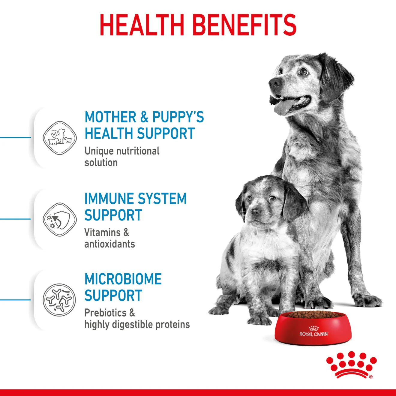 Royal Canin Size Health Nutrition Medium Starter Mother and Baby Dry Dog Food - Image 4