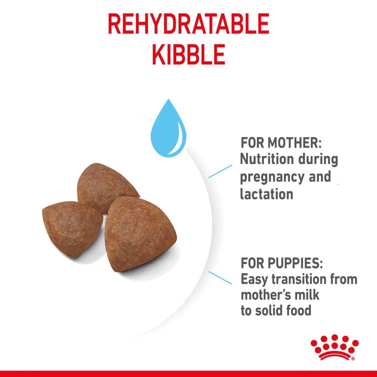 Royal Canin Size Health Nutrition Medium Starter Mother and Baby Dry Dog Food - Image 5