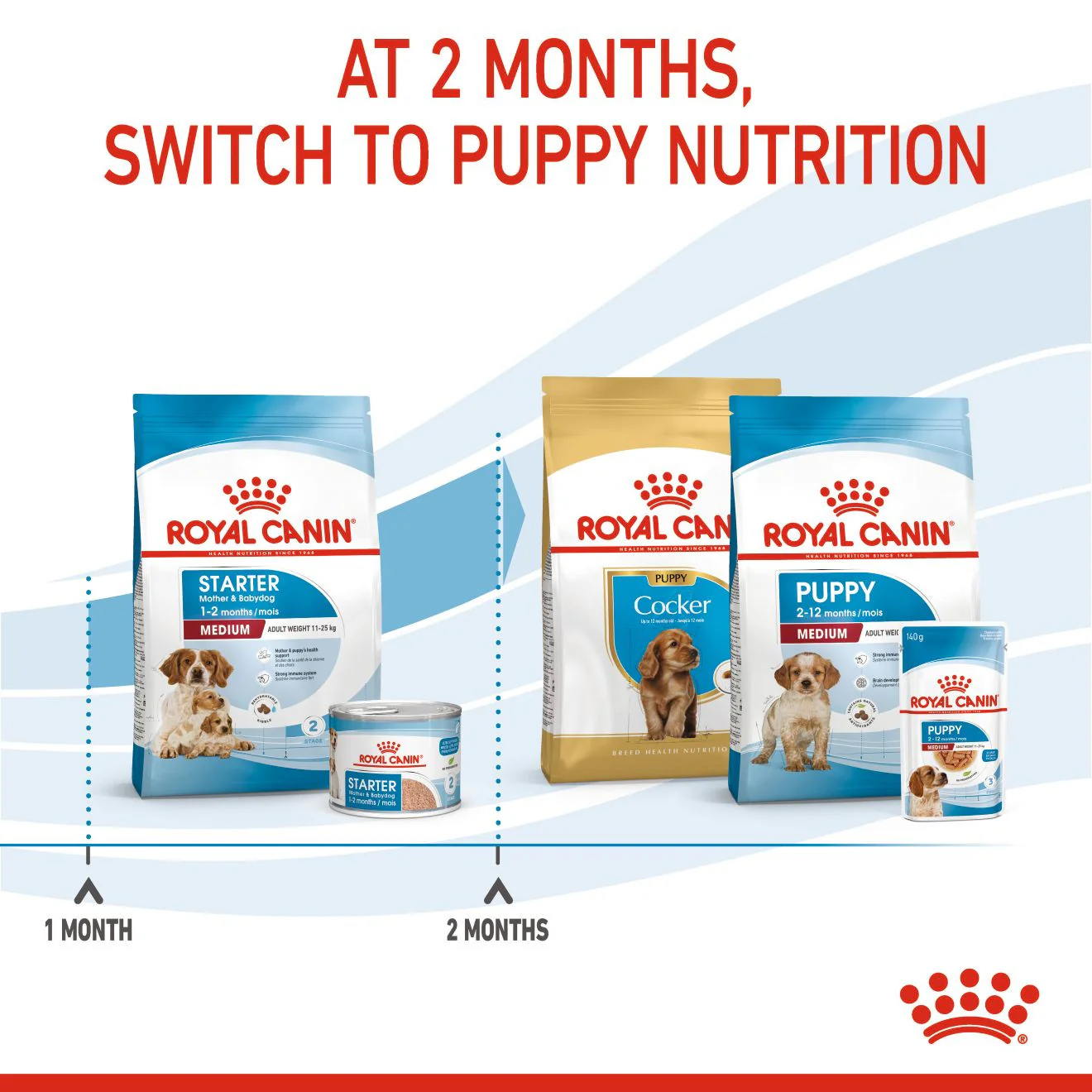Royal Canin Size Health Nutrition Medium Starter Mother and Baby Dry Dog Food - Image 6