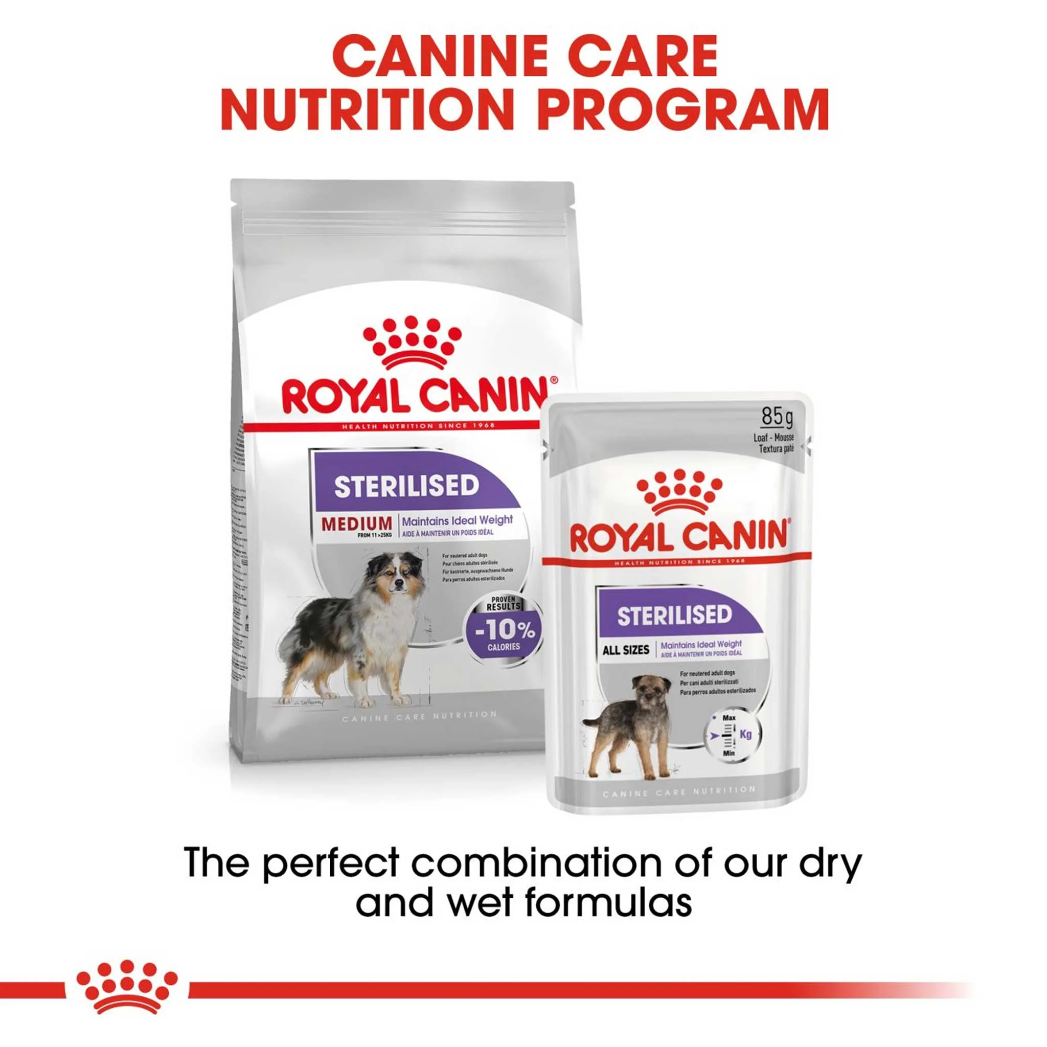 Royal Canin Size Health Nutrition Medium Sterilised Care Adult Dry Dog Food - Image 3