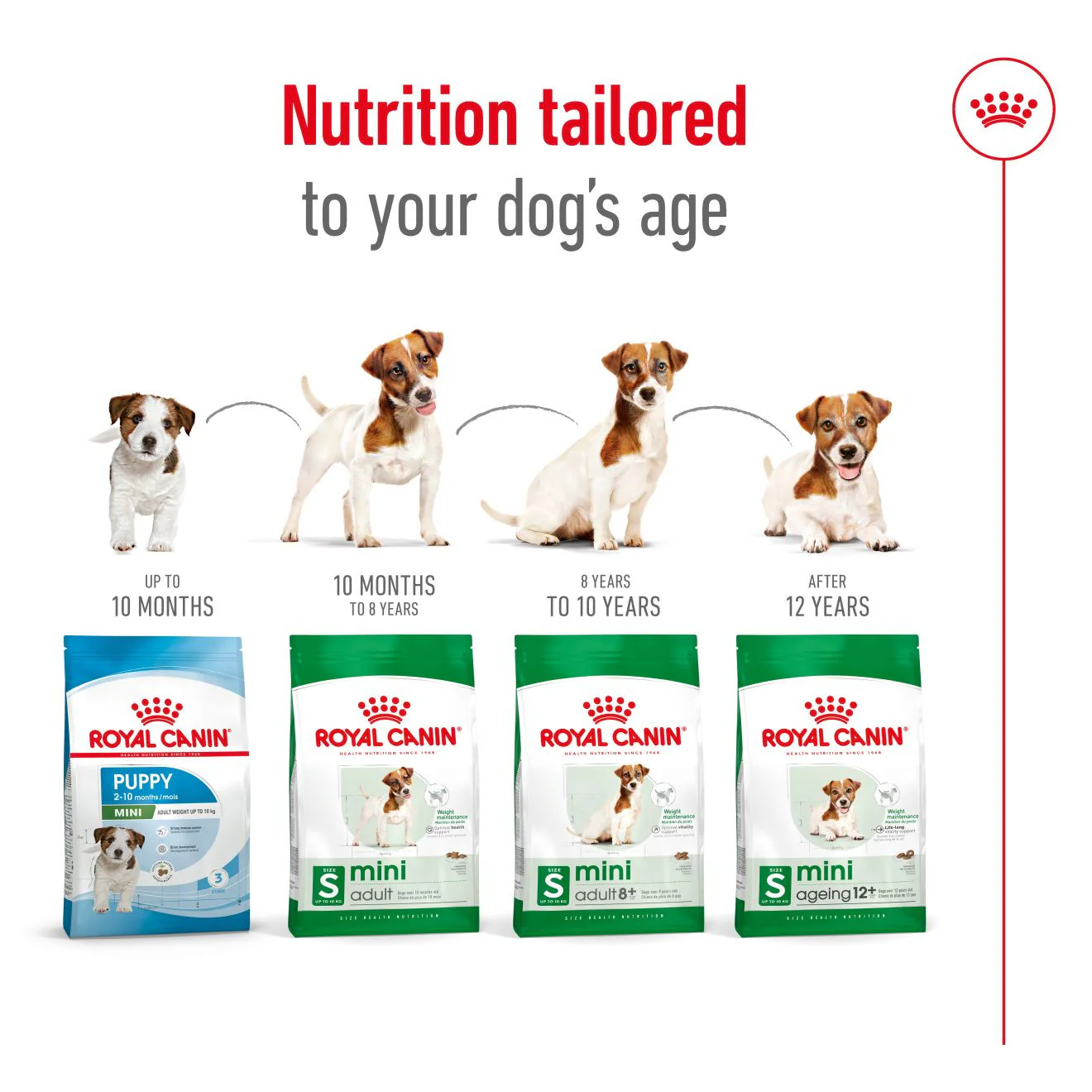 Royal Canin Size Health Nutrition Mini 8+ Mature Dry Dog Food - Image 10
