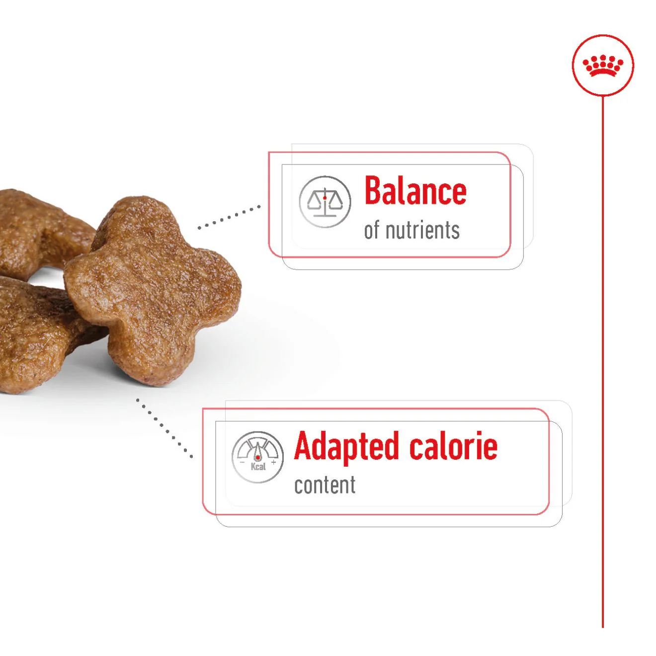 Royal Canin Size Health Nutrition Mini 8+ Mature Dry Dog Food - Image 4