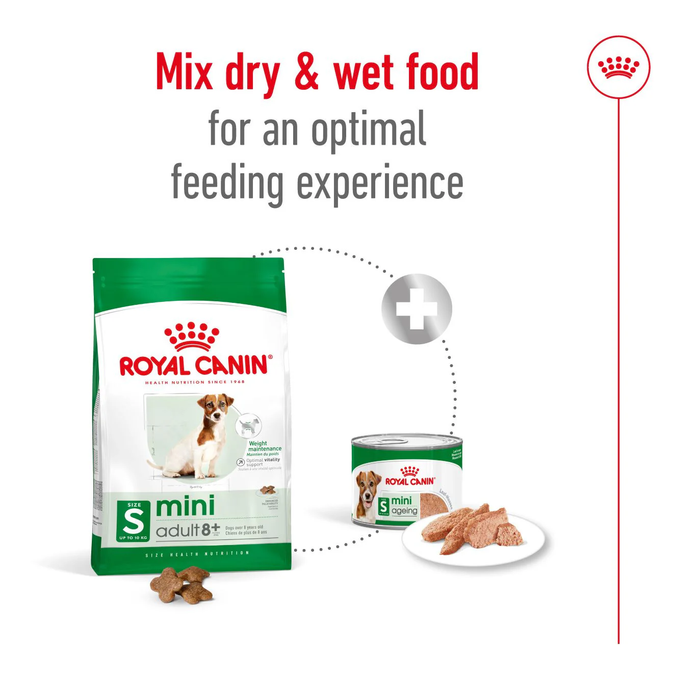 Royal Canin Size Health Nutrition Mini 8+ Mature Dry Dog Food - Image 6