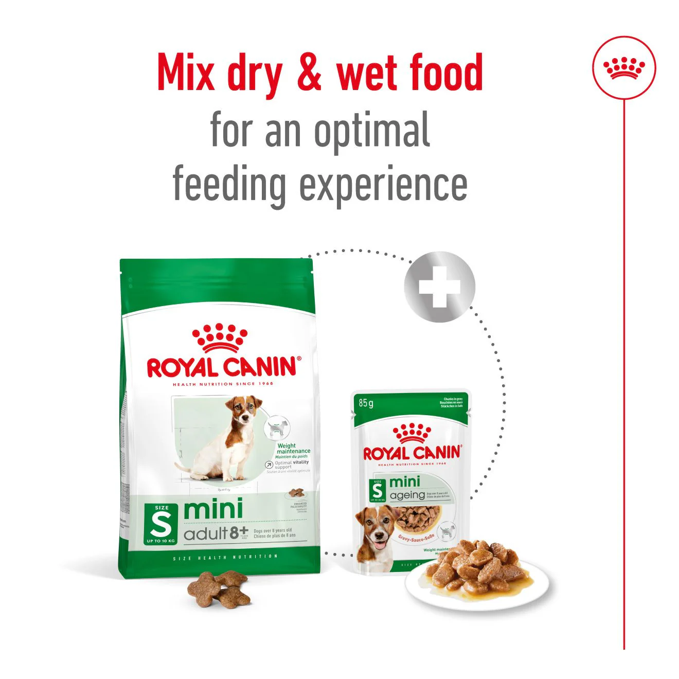 Royal Canin Size Health Nutrition Mini 8+ Mature Dry Dog Food - Image 7