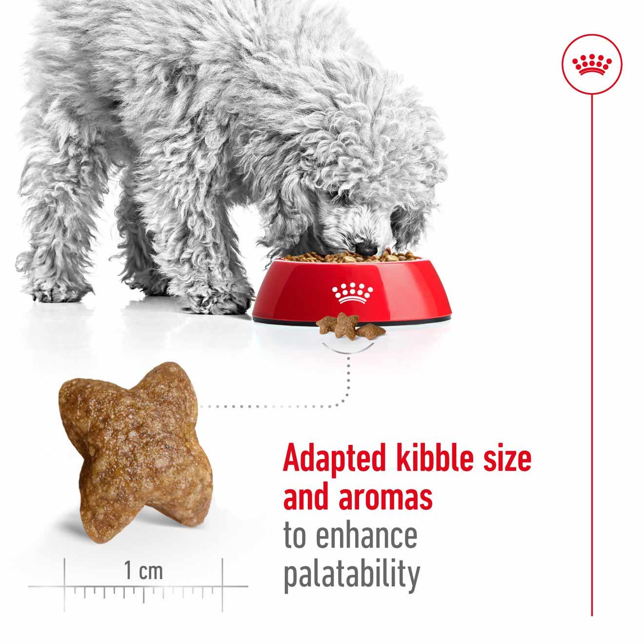 Royal Canin Size Health Nutrition Mini Adult Dry Dog Food - Image 4