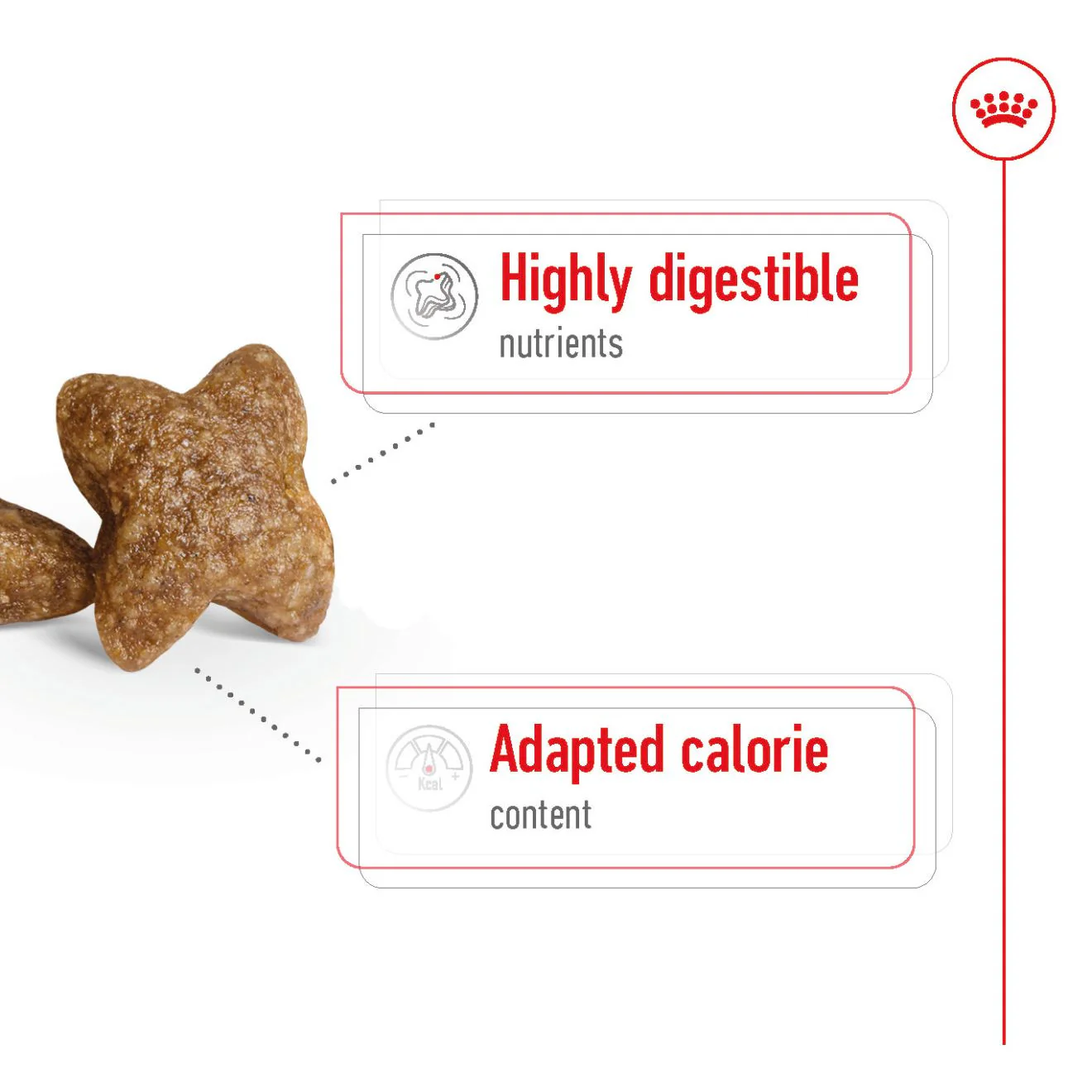 Royal Canin Size Health Nutrition Mini Adult Dry Dog Food - Image 5
