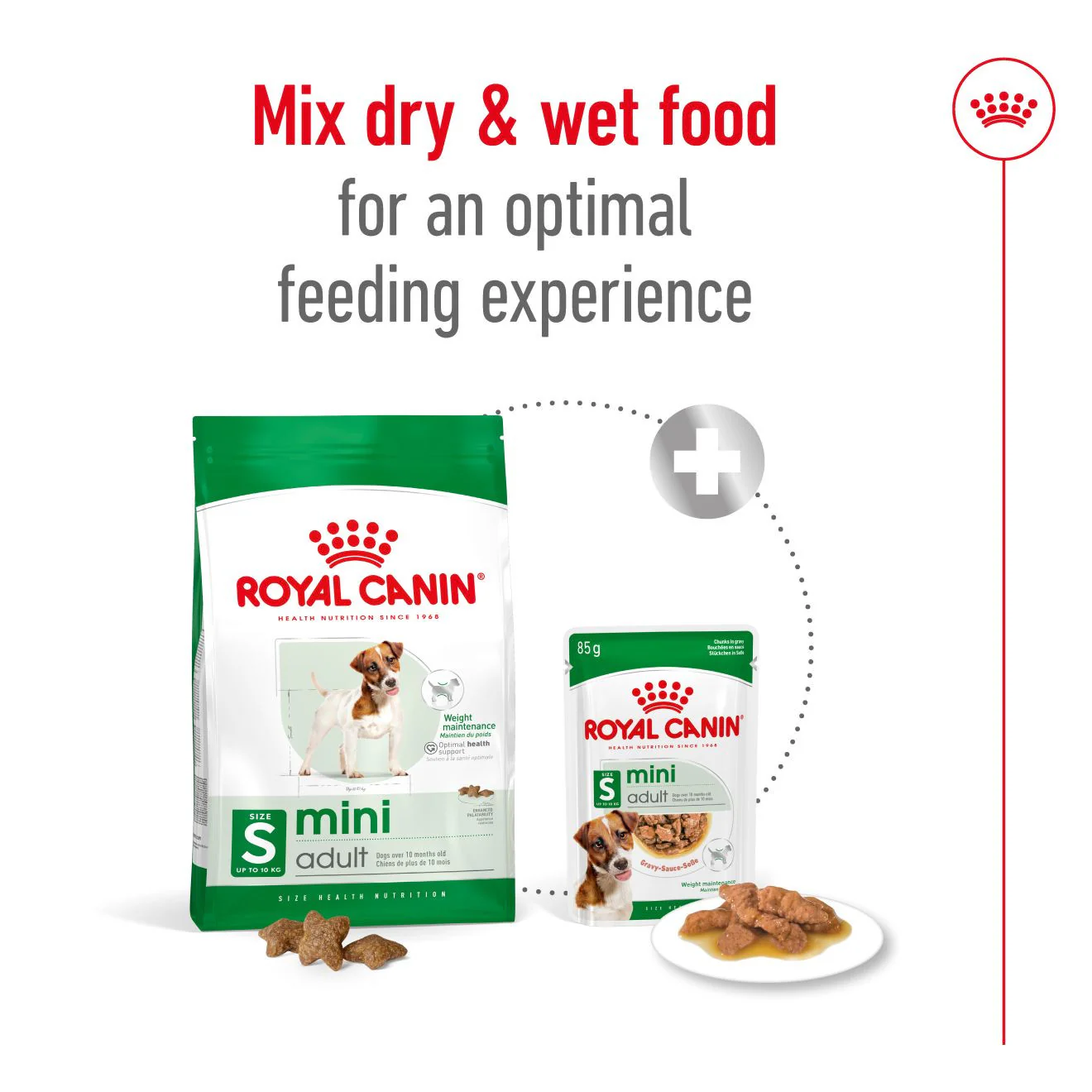 Royal Canin Size Health Nutrition Mini Adult Dry Dog Food - Image 8